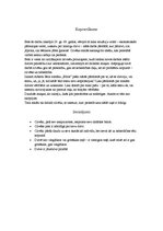 Referāts 'Referāts par Alberta Bela romānu "Būris"', 10.