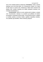 Konspekts 'Cena un vieta', 5.