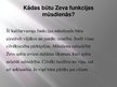 Prezentācija 'Sengrieķu kultūrvaronis Zevs', 8.