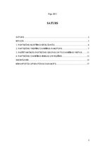 Referāts '"Zaļie" partizāni Latvijas brīvības cīņās (1918-1920)', 2.