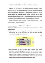 Referāts 'SIA "Ipro”" finansiālā stāvokļa analīze', 4.