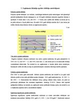 Referāts 'SIA "Ipro”" finansiālā stāvokļa analīze', 11.