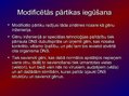 Prezentācija 'Modificētā pārtika', 2.