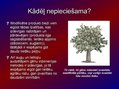 Prezentācija 'Modificētā pārtika', 7.