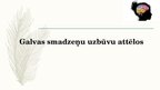 Prezentācija 'Galvas smadzeņu daļas un iegarenās smadzenes', 6.