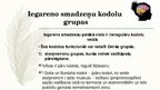 Prezentācija 'Galvas smadzeņu daļas un iegarenās smadzenes', 10.