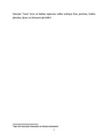 Prakses atskaite 'Prakse finanšu grāmatvedībā', 7.