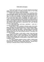 Eseja 'Cilvēktiesību raksturojums', 1.