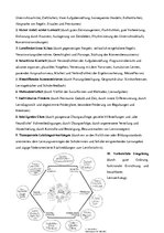 Konspekts 'Modelle des Deutsch als Fremdsprachenunterricht', 11.