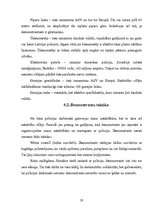 Referāts 'Policijas inspektora darbība masu pasākumu laikā', 28.