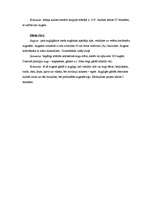 Referāts 'Meža atjaunošana', 5.