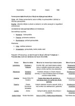 Konspekts 'Ģeogrāfija 10.klasei, pirmā tēma', 4.