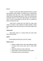 Referāts 'Jauniešu attieksme pret latviešu valodas kultūru', 3.