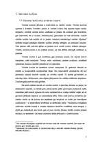 Referāts 'Jauniešu attieksme pret latviešu valodas kultūru', 5.