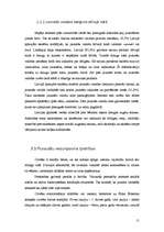 Referāts 'Jauniešu attieksme pret latviešu valodas kultūru', 11.