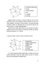 Referāts 'Jauniešu attieksme pret latviešu valodas kultūru', 17.