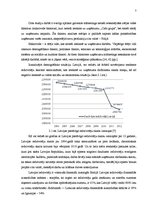 Referāts 'Uzņēmuma "Cido grupa" produktu eksports no Latvijas Polijā', 7.