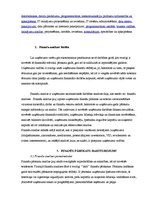 Prakses atskaite 'Prakses atskaite SIA "X"', 4.