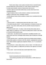 Prakses atskaite 'Prakses atskaite SIA "X"', 5.