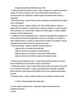 Prakses atskaite 'Prakses atskaite SIA "X"', 7.