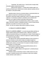 Prakses atskaite 'Prakses atskaite SIA "X"', 9.