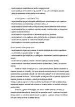 Prakses atskaite 'Prakses atskaite SIA "X"', 11.