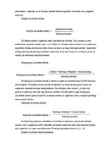 Prakses atskaite 'Prakses atskaite SIA "X"', 13.