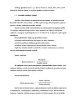 Prakses atskaite 'Prakses atskaite SIA "X"', 15.