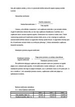 Prakses atskaite 'Prakses atskaite SIA "X"', 16.