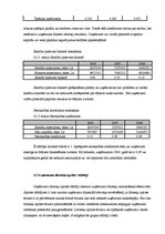 Prakses atskaite 'Prakses atskaite SIA "X"', 17.