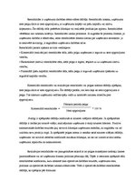 Prakses atskaite 'Prakses atskaite SIA "X"', 21.