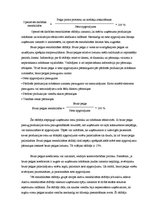 Prakses atskaite 'Prakses atskaite SIA "X"', 22.