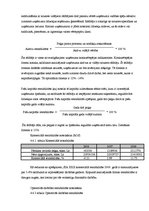 Prakses atskaite 'Prakses atskaite SIA "X"', 23.