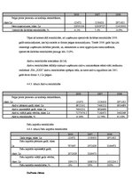 Prakses atskaite 'Prakses atskaite SIA "X"', 24.