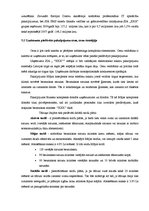 Prakses atskaite 'Prakses atskaite SIA "X"', 26.