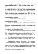 Prakses atskaite 'Prakses atskaite SIA "X"', 27.