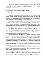 Prakses atskaite 'Prakses atskaite SIA "X"', 28.