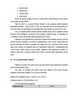 Prakses atskaite 'Prakses atskaite SIA "X"', 30.