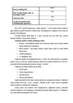 Prakses atskaite 'Prakses atskaite SIA "X"', 31.