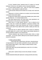 Prakses atskaite 'Prakses atskaite SIA "X"', 33.