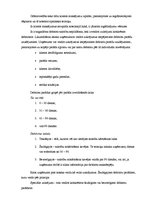 Prakses atskaite 'Prakses atskaite SIA "X"', 36.