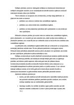 Prakses atskaite 'Prakses atskaite SIA "X"', 38.