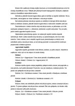 Prakses atskaite 'Prakses atskaite SIA "X"', 43.