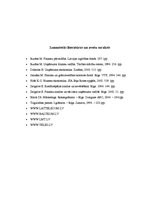 Prakses atskaite 'Prakses atskaite SIA "X"', 46.