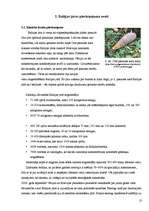 Referāts 'Baltijas jūras piesārņojuma avoti', 10.