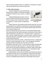 Referāts 'Baltijas jūras piesārņojuma avoti', 11.