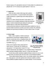 Referāts 'Baltijas jūras piesārņojuma avoti', 12.