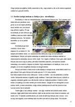 Referāts 'Baltijas jūras piesārņojuma avoti', 15.