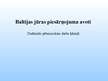 Referāts 'Baltijas jūras piesārņojuma avoti', 28.