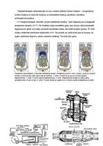 Referāts 'Kurināmais un sadegšanas siltums', 6.